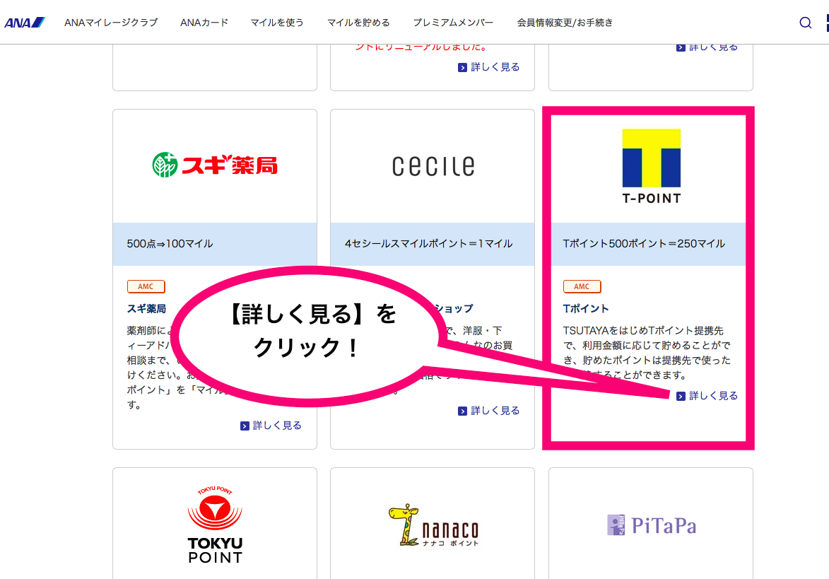 Ana コイン t ポイント (97) 사진